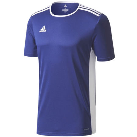 Adidas Entrada 18 shirt