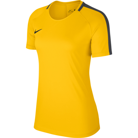 Nike Women's Academy 18 Training Top