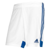 WHITE / TEAM ROYAL BLUE