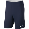 Nike Academy 18 Knit Shorts