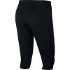 Nike Academy 3/4 Tech Pants 