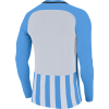 Nike striped division football kit