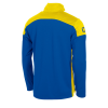 Pride Training 1/4 Zip Top